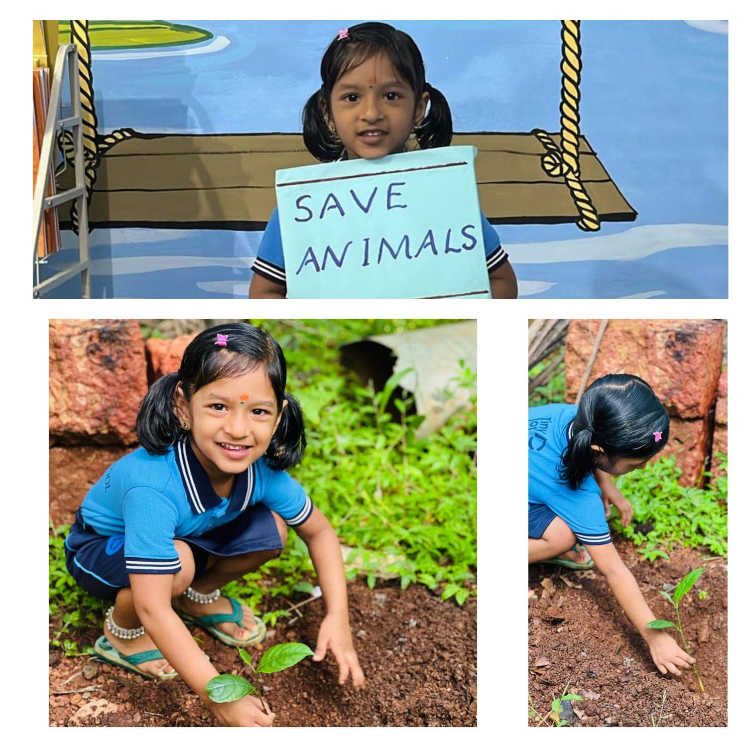 World Environment Day Celebration at Tiny Tot Club